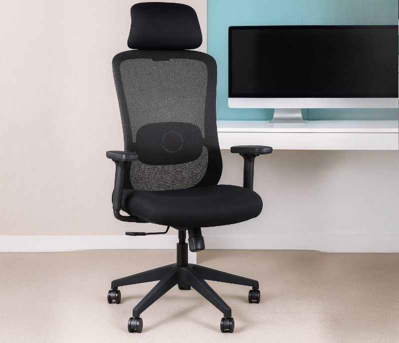 Image 1 for Hawk HB Black Ergonomic High-Back Mesh Office Chair Adjustable Height Revolving Study Work from Home Chair Computer Desk Chair Back Lumbar Support Ergonomic Chair Tilting Arm Support