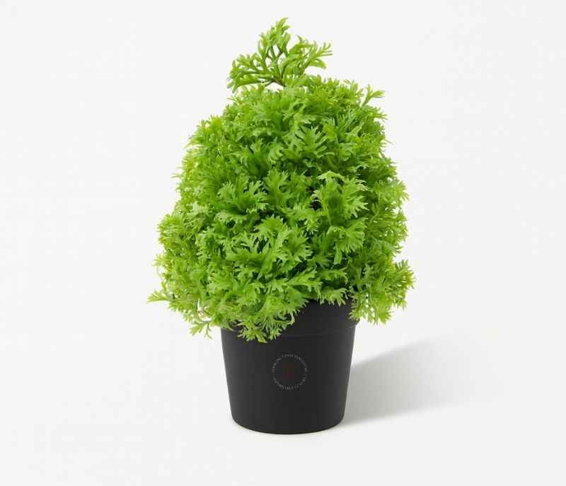 Image 2 for A-F-97 B Fake Plant Home Room Garden Decor Green