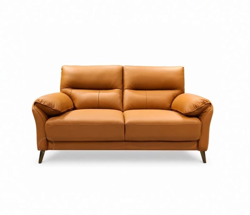 Image 3 for ZM 978 Sofa 2 Seater Leather Fabric (CP)