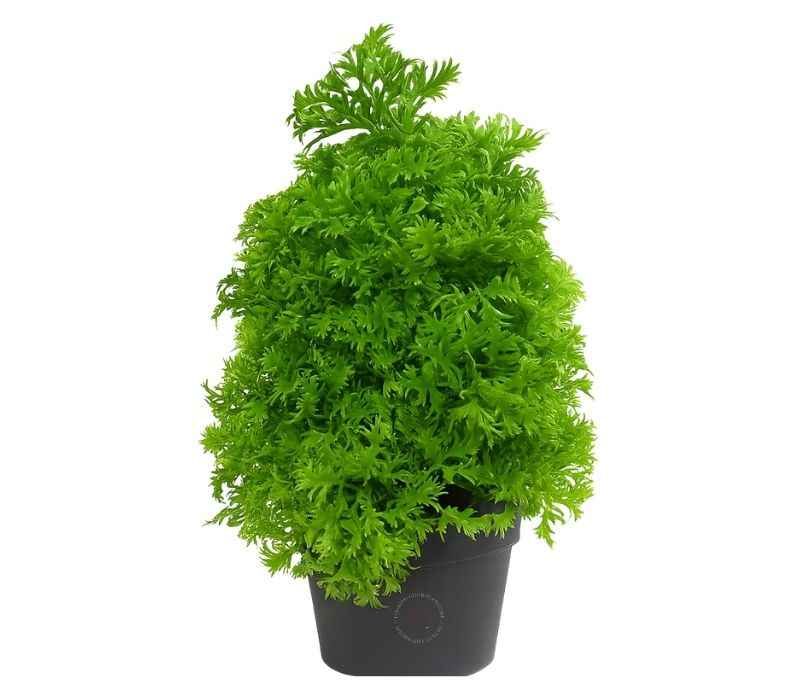 Image 3 for A-F-97 B Fake Plant Home Room Garden Decor Green