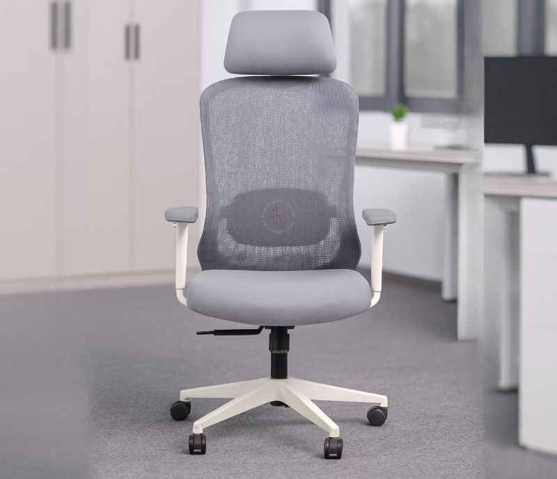 Hawk HB Grey White Ergonomic High-Back Mesh Office Chair Adjustable Height Revolving Study Work from Home Chair Computer Desk Chair Back Lumbar Support Ergonomic Chair Tilting Arm Support