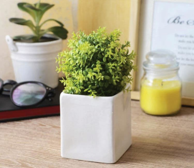 Pots and Planters