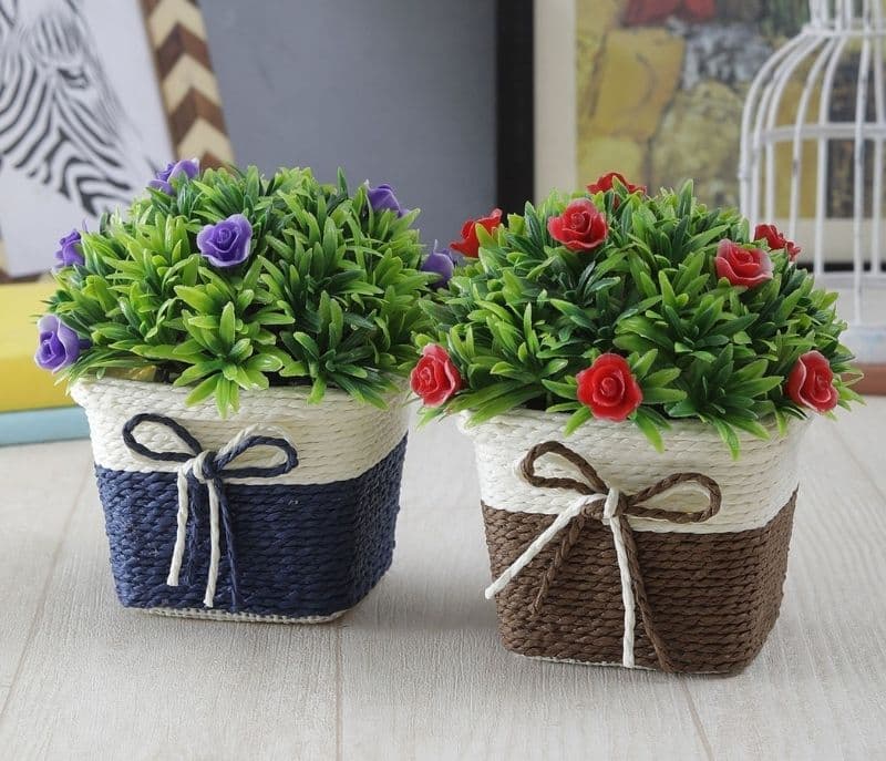 Ottavia Plants with Purple and Red Roses Combo of 2