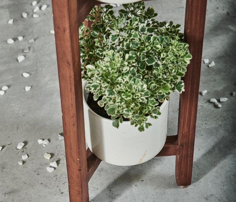 Image 5 for Rosana 3 Tier Planter With Dark Finish 3 Ceramic Pots